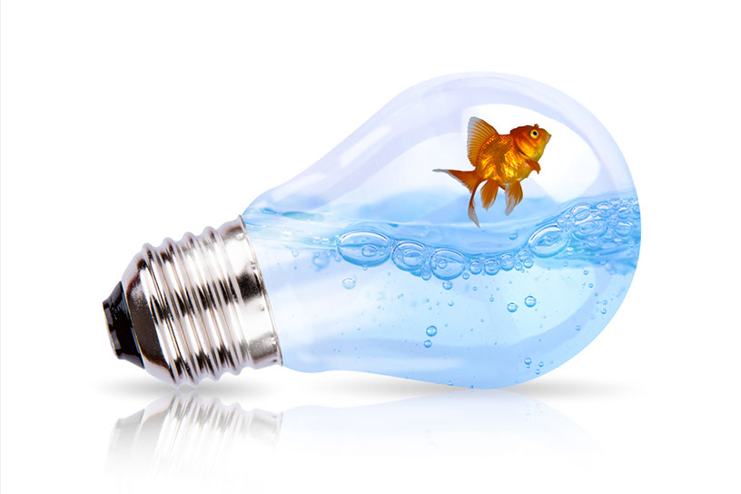 Mark I'Anson being crystal clear about your goals